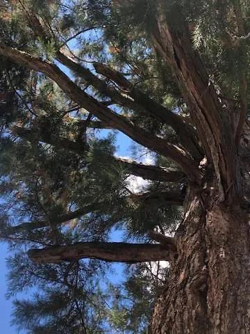 La Chaumiere, Formule Maison Entiere